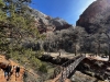 Zion-NP-0005