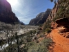 Zion-NP-0006