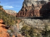 Zion-NP-0008