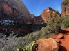 Zion-NP-0009