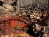 Zion-NP-0010