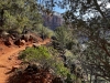 Zion-NP-0011
