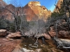 Zion-NP-0014