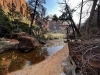 Zion-NP-0015
