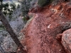 Zion-NP-0018