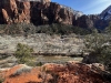 Zion-NP-0020