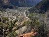 Zion-NP-0021