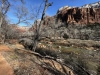 Zion-NP-0022