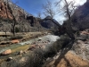 Zion-NP-0023