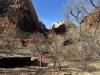Zion-NP-0025