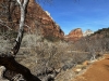 Zion-NP-0026
