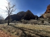 Zion-NP-0028