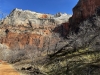 Zion-NP-0029
